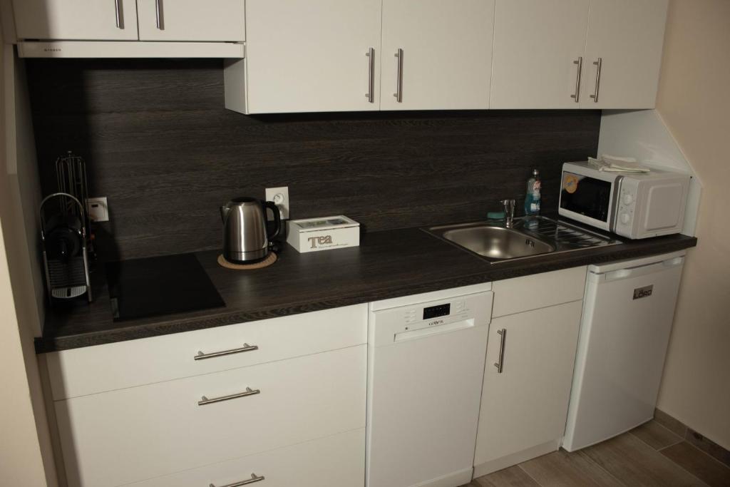 Kuchyň nebo kuchyňský kout v ubytování Apartmány Pilot
