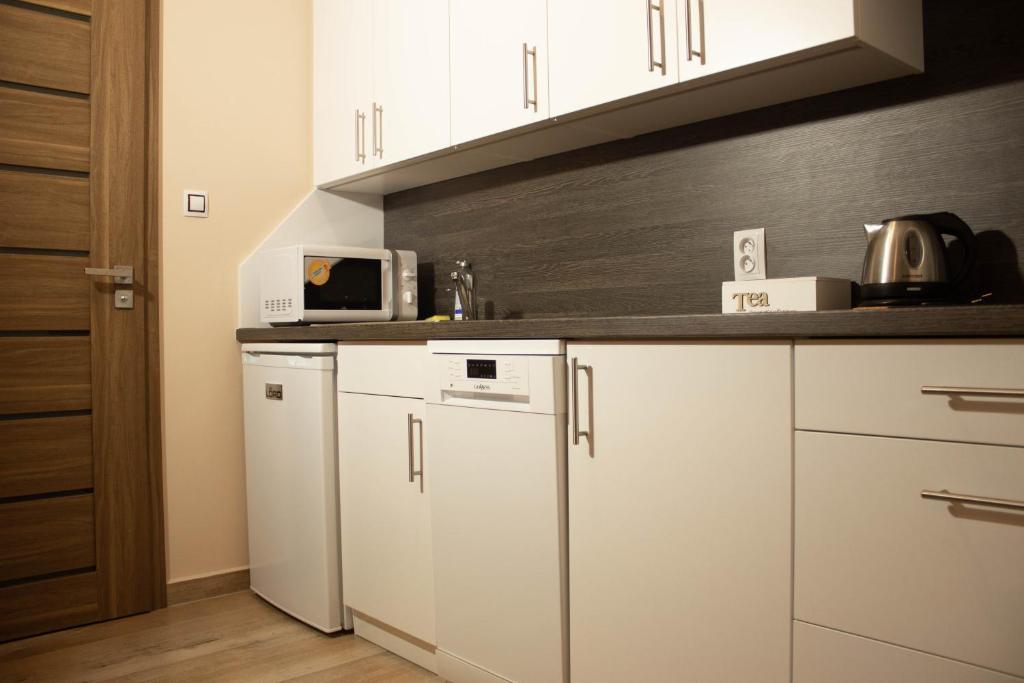 Kuchyň nebo kuchyňský kout v ubytování Apartmány Pilot
