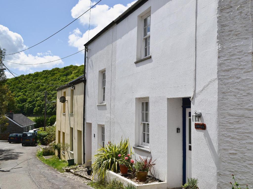 una casa blanca con plantas en una calle en Sundowners, en Calstock