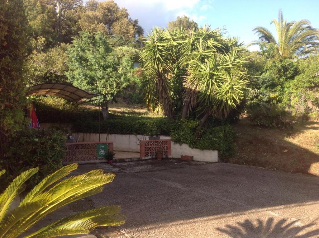 un jardin avec des palmiers et une allée dans l'établissement Les lauriers roses, à La Croix-Valmer