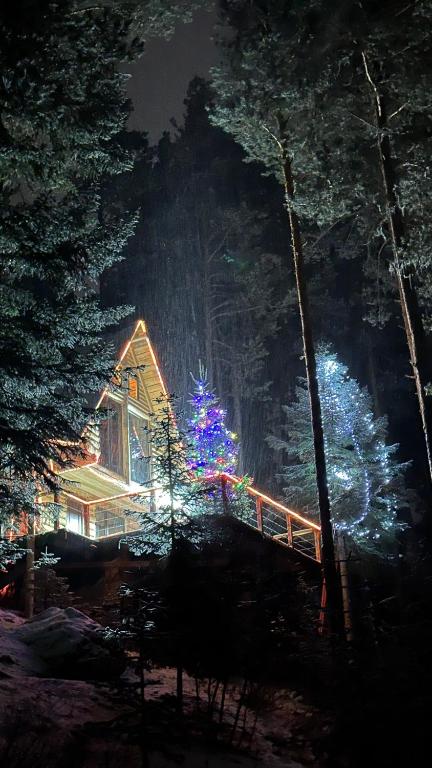 Příroda nedaleko hotelu