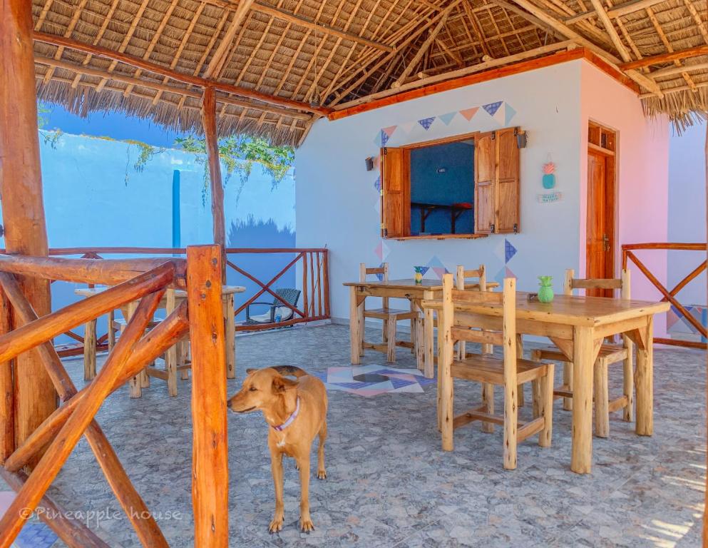 Balkón nebo terasa v ubytování Pineapple House