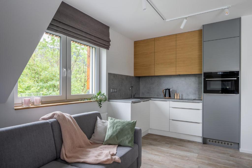Kuchyň nebo kuchyňský kout v ubytování Apartmány u Lesa