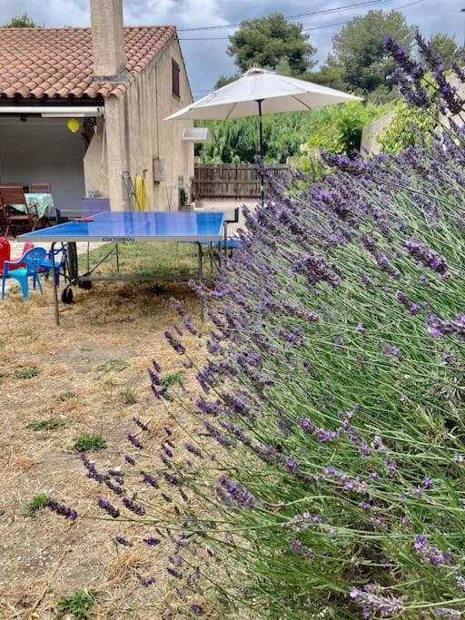 Zdjęcie z galerii obiektu Lou Mazet w mieście Martigues