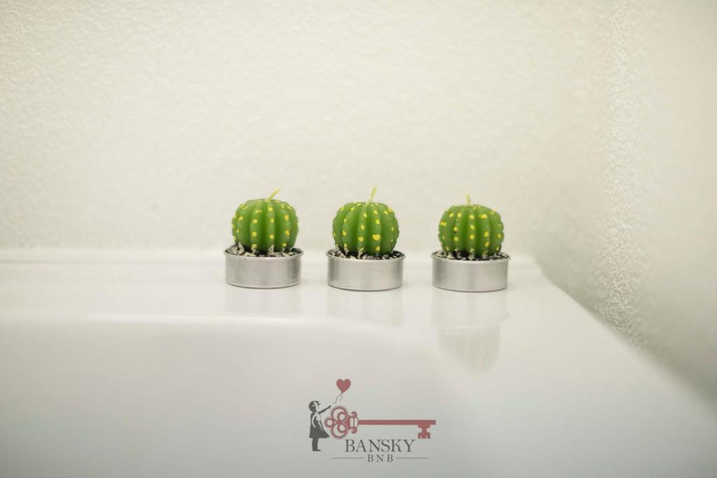 Sunny Suite Nordic - Lugano City -By EasyLife Swiss - Resim 13