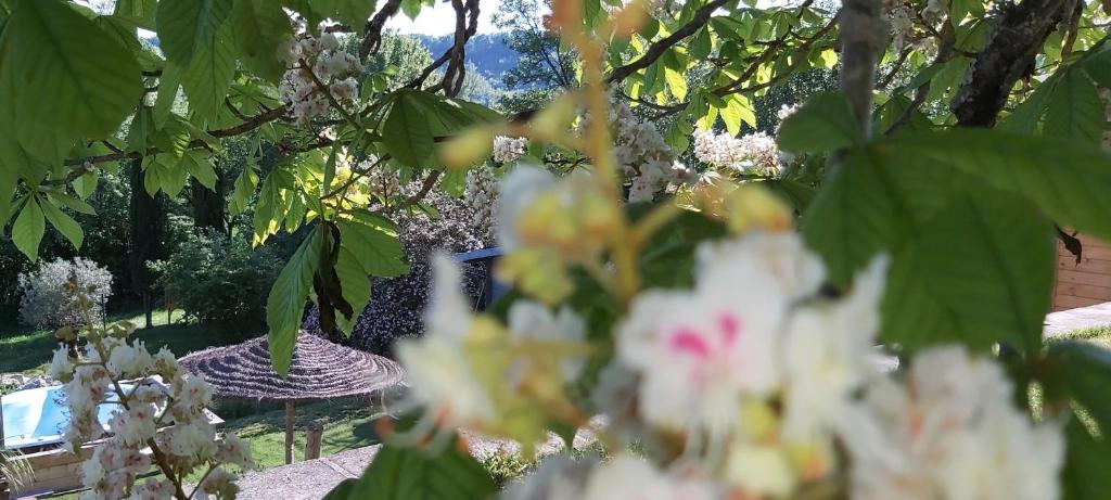 Vonkajšia záhrada v ubytovaní Le gîte Bellevue à MONTJOI 82400 Tarn & Garonne