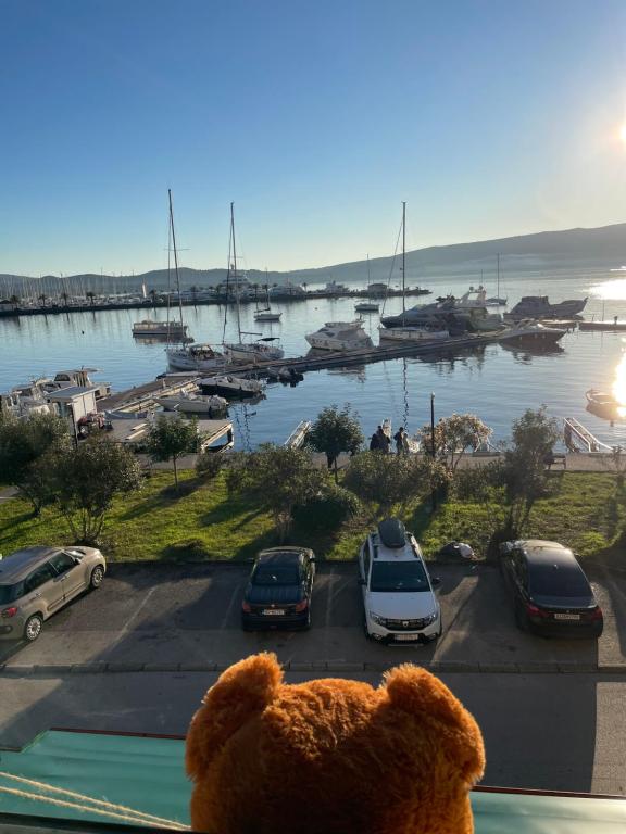 un oso de peluche sentado en la parte superior de una ventana mirando a un puerto en Opera apartments, en Tivat