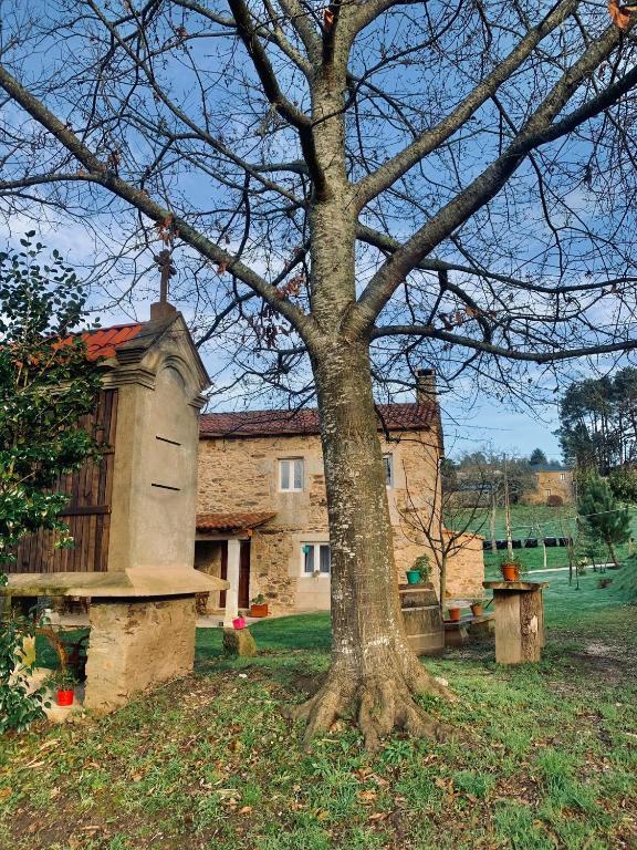 A Quinta Das Maceiras - 9