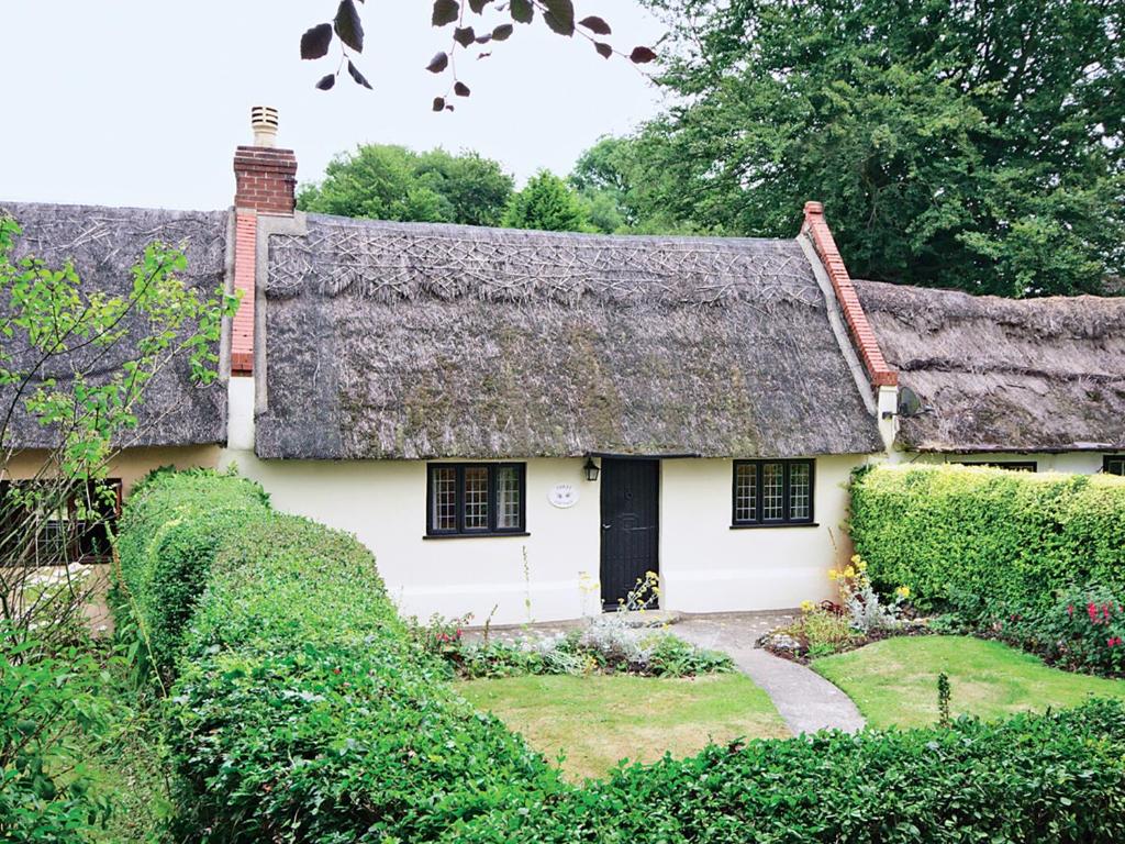 a thatched cottage with a thatched roof at Violet Cottage in Catfield