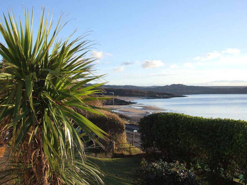 a palm tree sitting next to a body of water at Beach Cottage in Gairloch