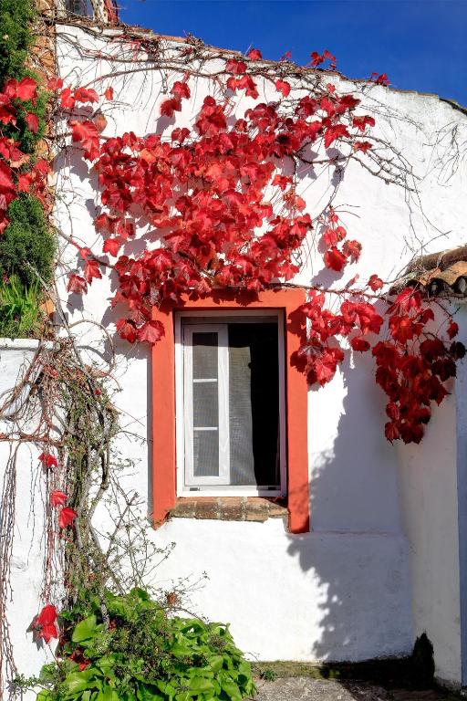 a white building with red flowers on it at Cortijo La Hoya in El Bujeo