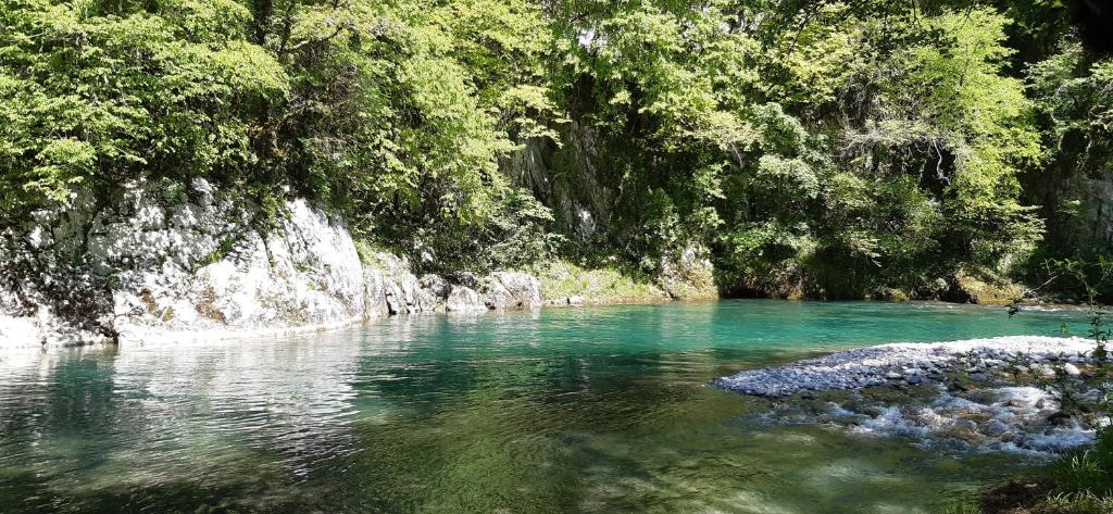 un río con agua turquesa y árboles en Monyoya ,site exceptionnel au coeur des Pyrénées, en Sarrance