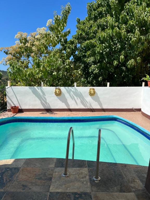 a swimming pool with two metal rails in a yard at Hotel Punta del Sol in Zipolite