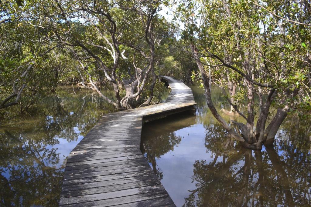 Waterfalls Estate - Motel & Campground - Resim 37