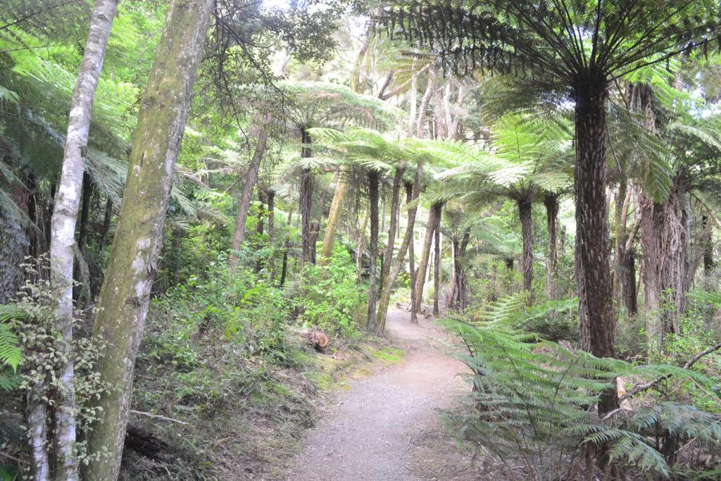 Waterfalls Estate - Motel & Campground - Resim 36
