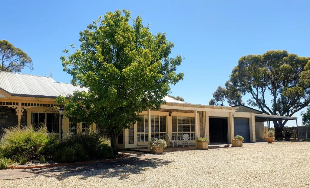 uma casa com uma árvore em frente em Angaston Lodge em Angaston