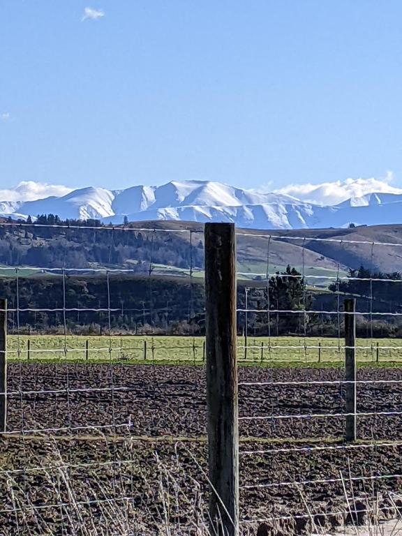 Kingsdown Manor B&B Timaru - Resim 22