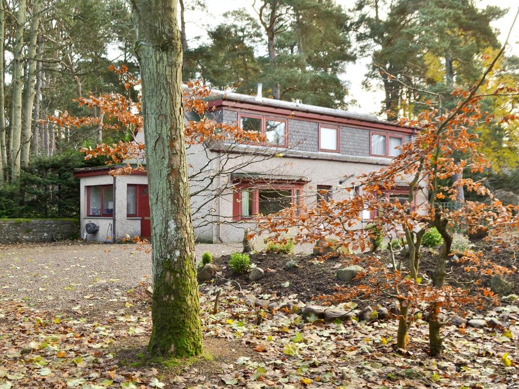 una casa con un árbol delante de ella en The Gregorton Coachhouse, en Rattray