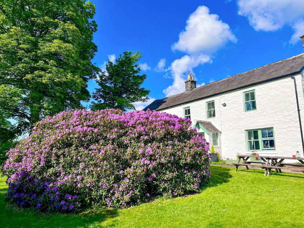 a bush with purple flowers in front of a building at Mark Close Farmhouse in Alston