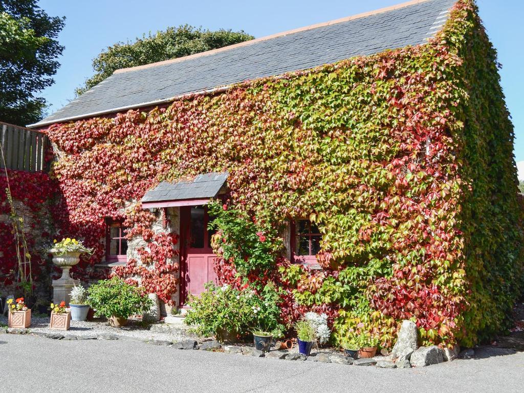 a house covered in ivy with a pink door at Chywood Barn in Carleen