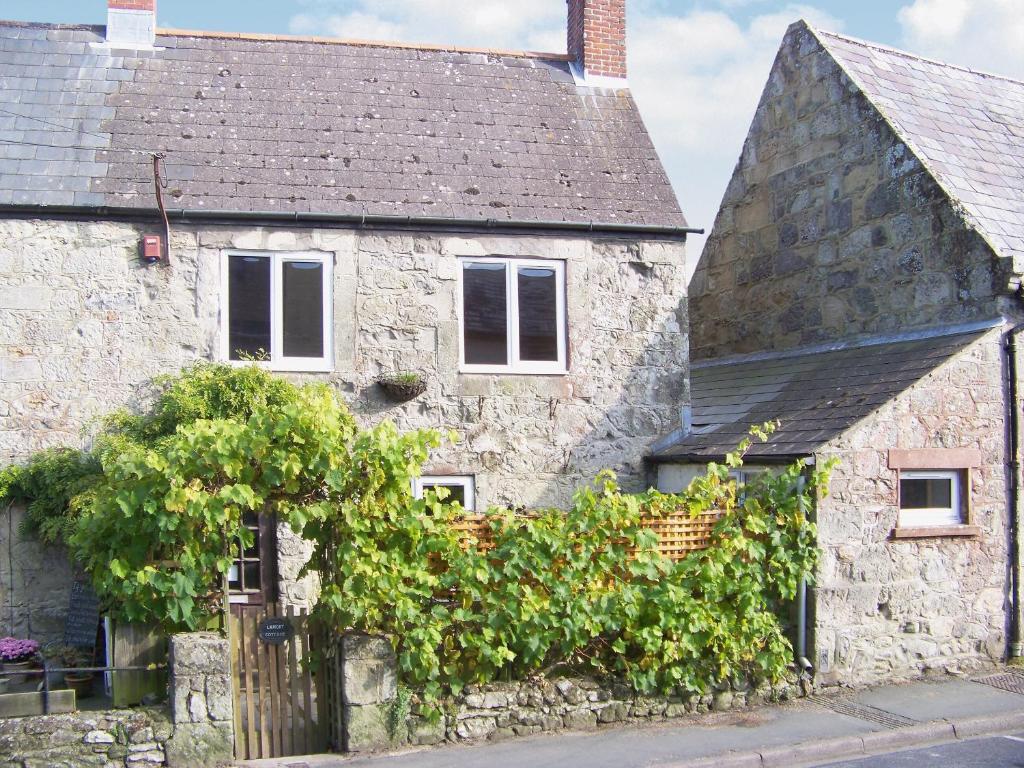 an old stone house with a bunch of vines at Lamont Cottage in Niton