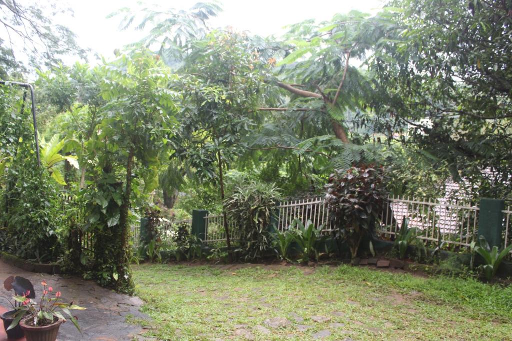Κήπος έξω από το Lazy Bear Best Hostel in Kandy