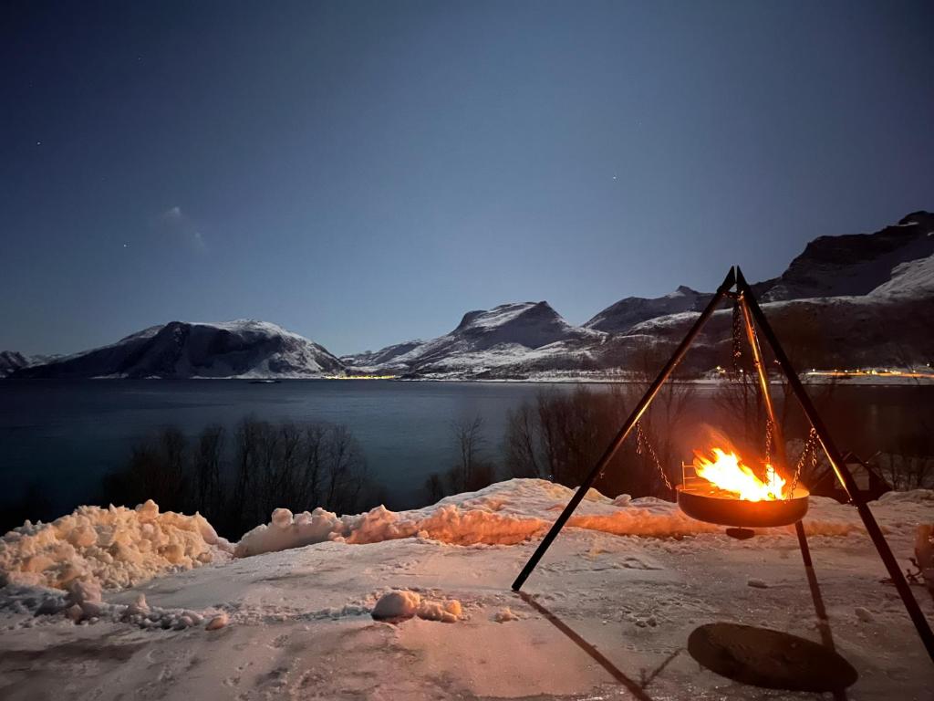 Příroda nedaleko apartmánu