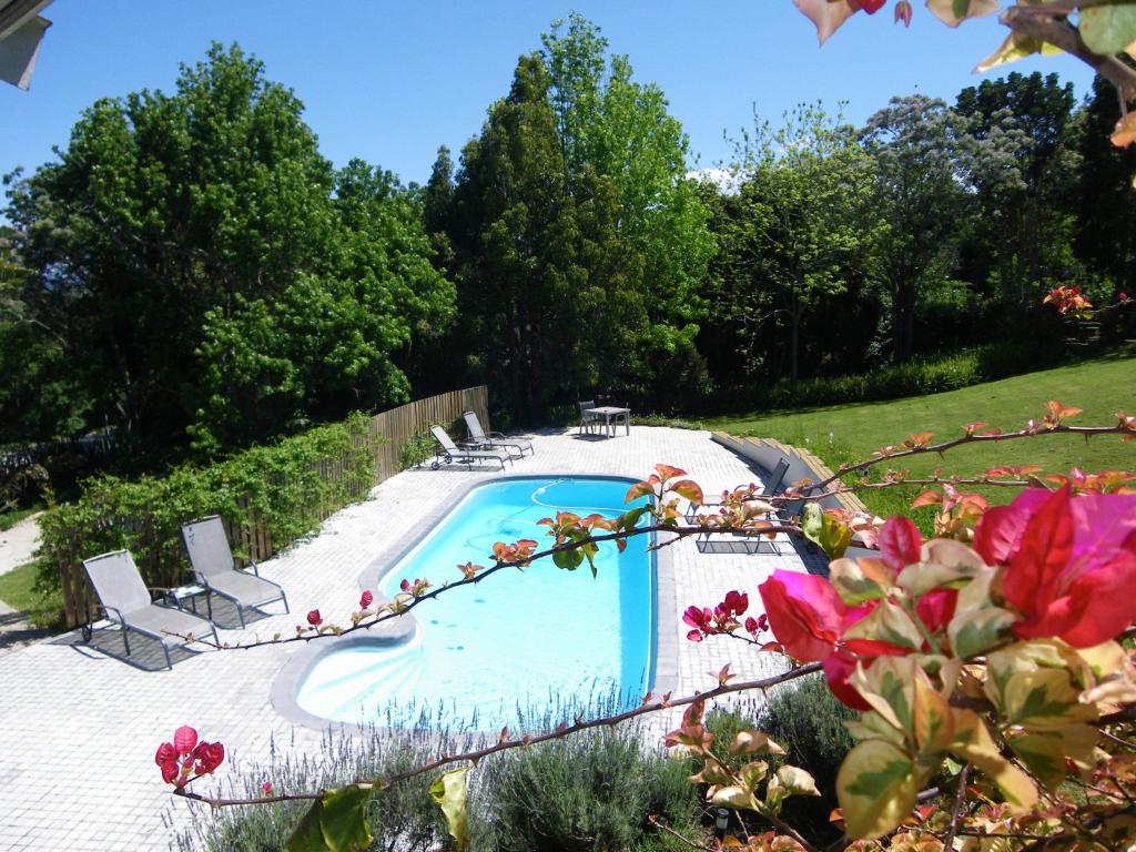 einen Pool in einem Garten mit zwei Stühlen und Blumen in der Unterkunft Stannards Guest Lodge 4 Star B&B, Knysna in Knysna