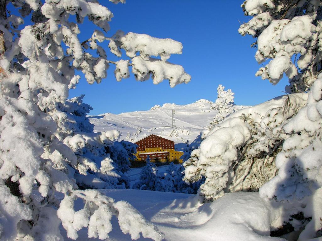 a house in the snow with snow covered trees at Grand Kartal Hotel in Kartalkaya