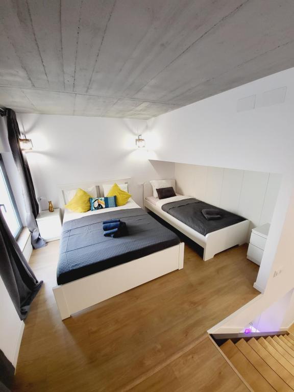 Carbonell 1 - Resim 19