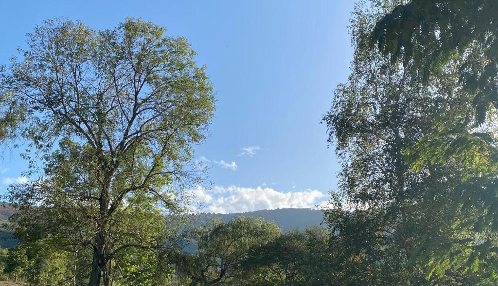 Príroda v okolí vily