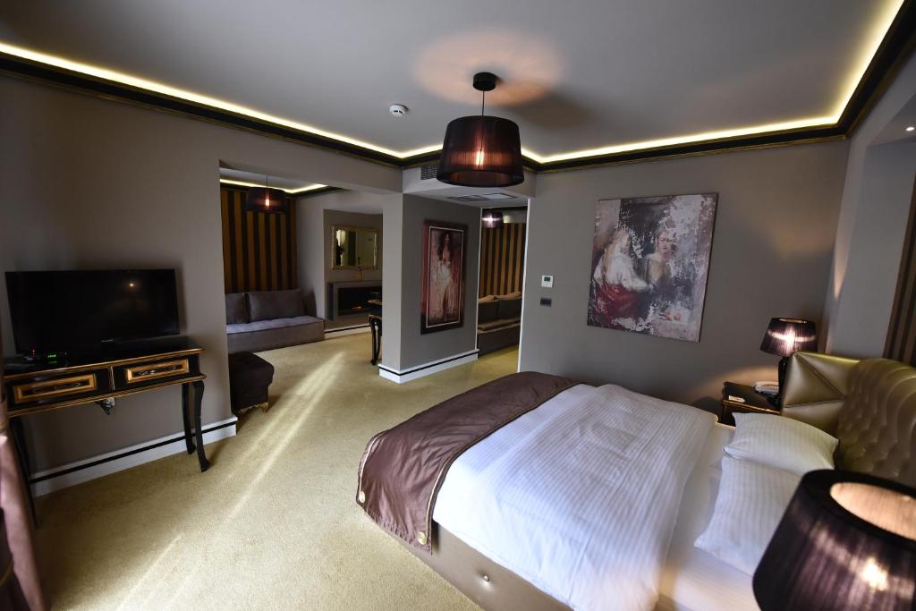 TV a/nebo společenská místnost v ubytování Hotel Hymeti's Palace