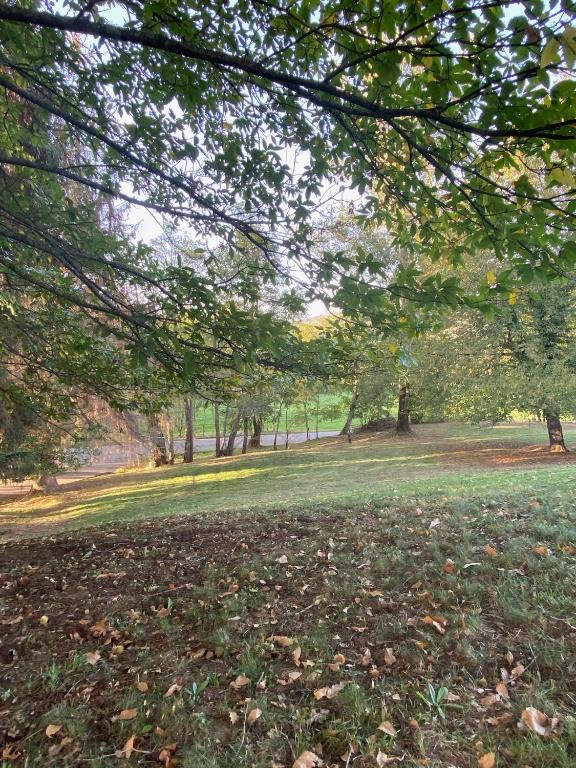Vonkajšia záhrada v ubytovaní Foix Villa 150m2 dans très grand parc arboré