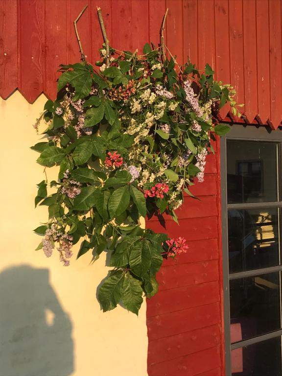 Fotografie z fotogalerie ubytování Bremsmaj Farm Holiday v destinaci Kværs