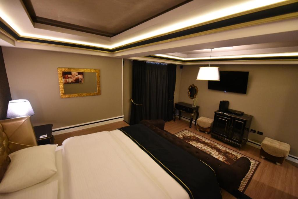 TV a/nebo společenská místnost v ubytování Hotel Hymeti's Palace