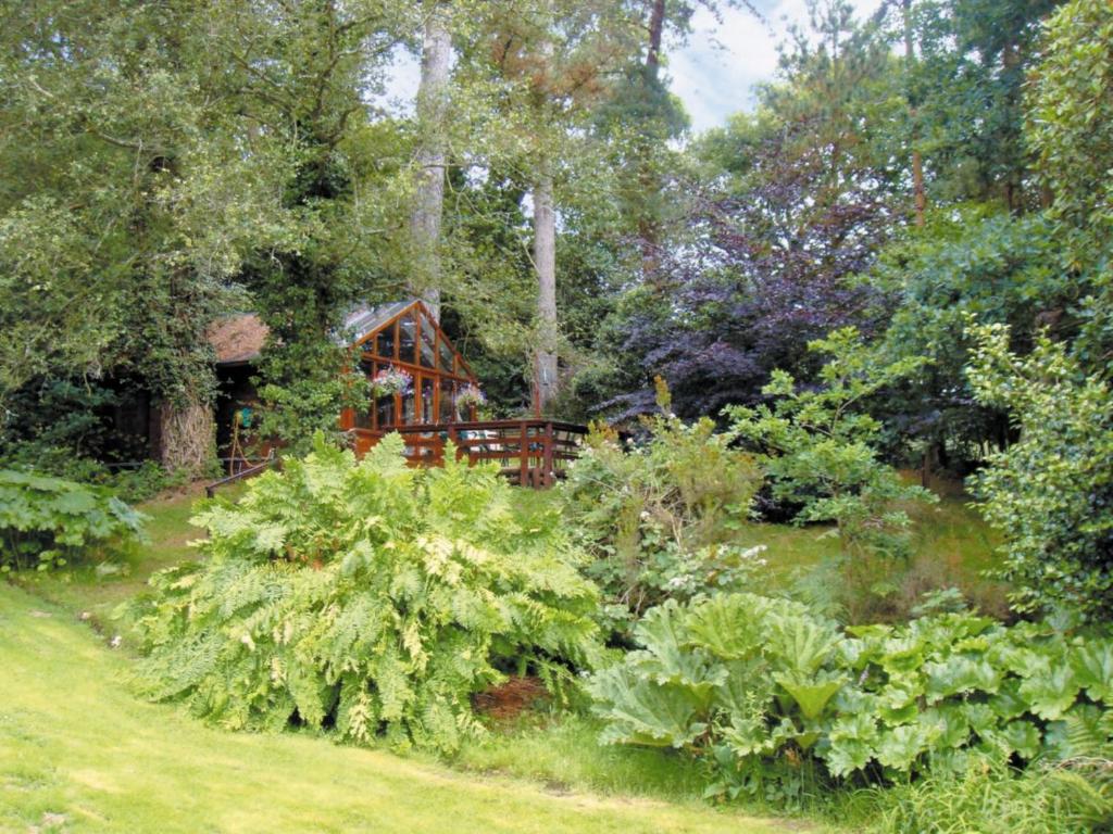 Vonkajšia záhrada v ubytovaní Forest Lodge