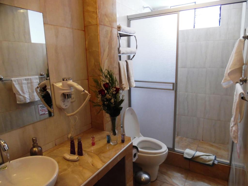 Koupelna v ubytování Hotel Puno Terra