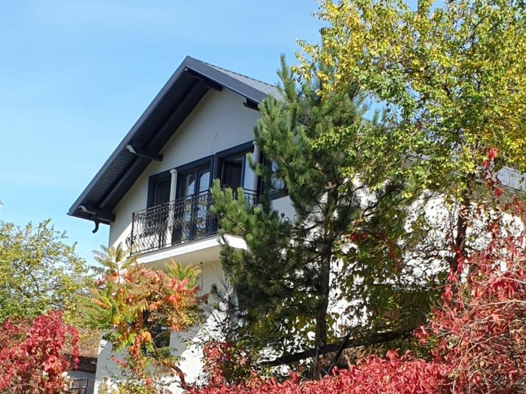 uma casa branca com varanda e árvores em Casa Pe Vale em Rasnov