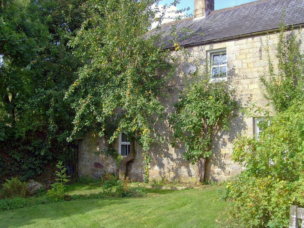 una vieja casa de piedra con un árbol delante en Byrness House, en Byrness