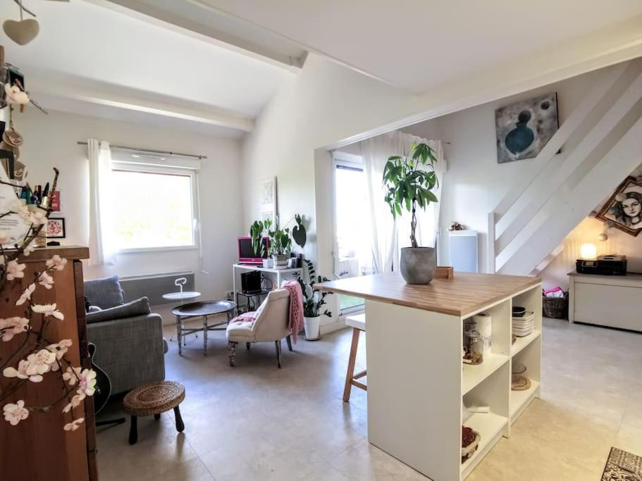 uma sala de estar com uma cozinha e uma sala de estar com um sofá em COSY Home - 2 à 4 pers - Aéroport - vieux Blagnac em Blagnac