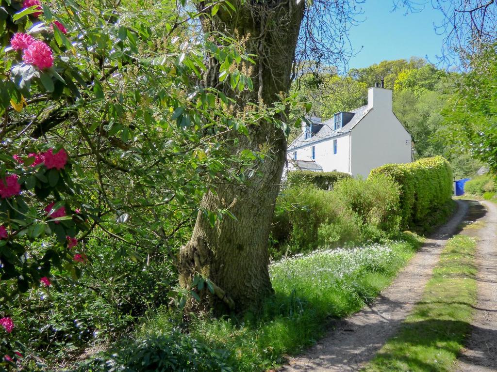 Little Boreland in Gatehouse of Fleet, Dumfries & Galloway, Scotland