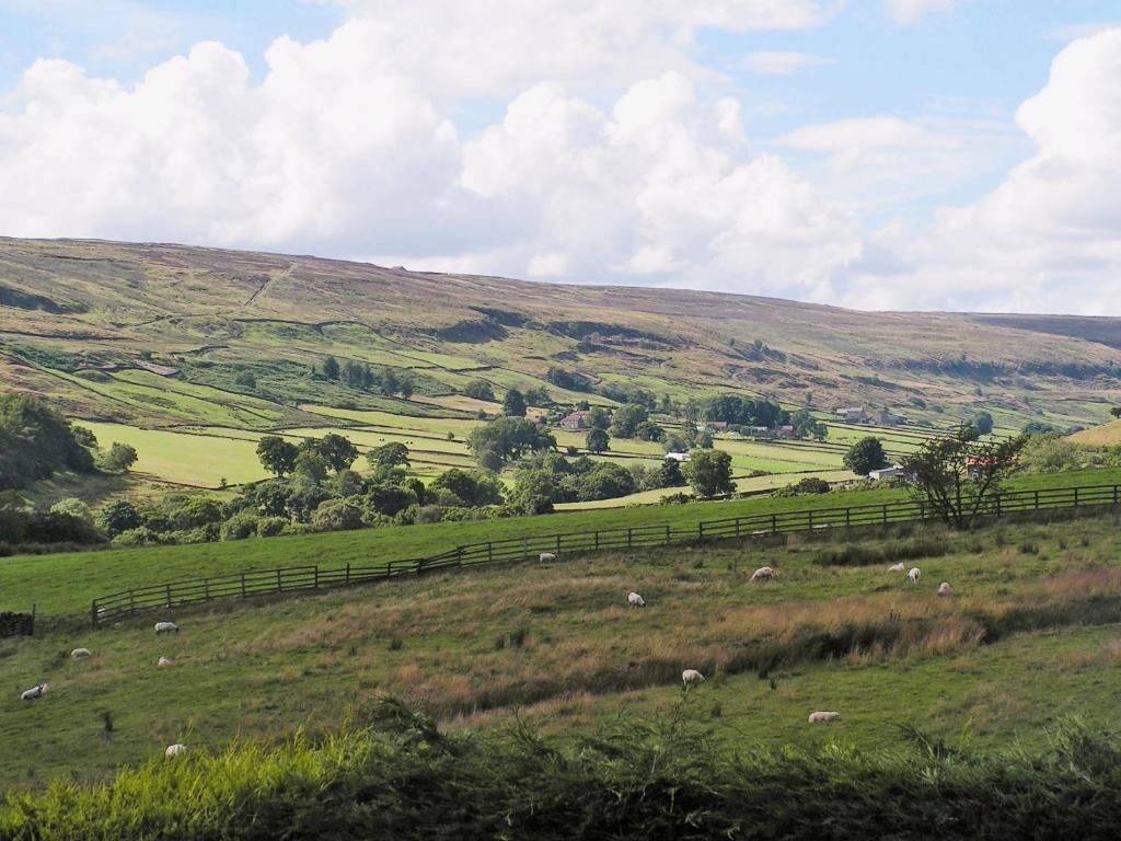 a field of green grass with a fence at Boothferry - 18425 in Rosedale Abbey