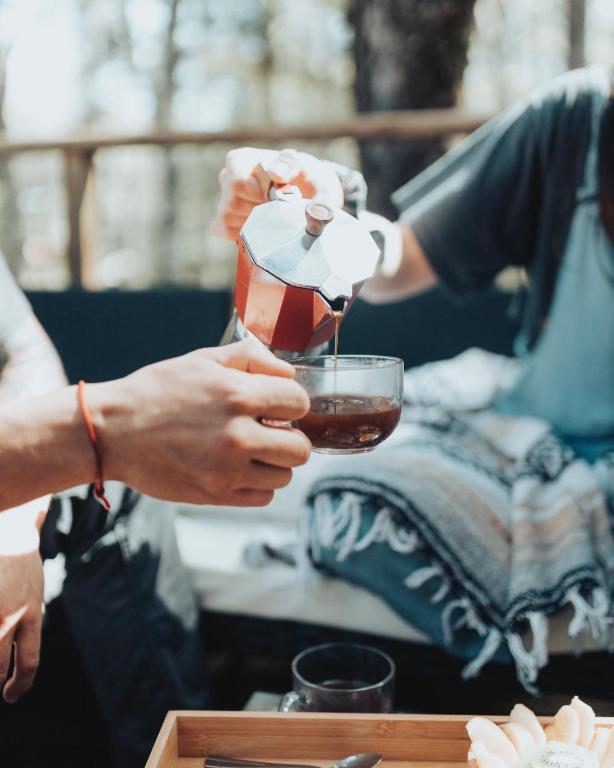 RUKAKUTRAL refugio de bosque