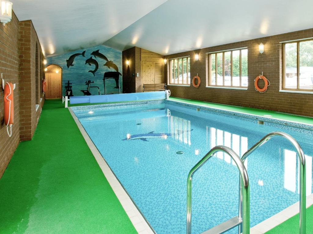 a large swimming pool with green flooring and a large swimming pool at Grebe Cottage in Dilham