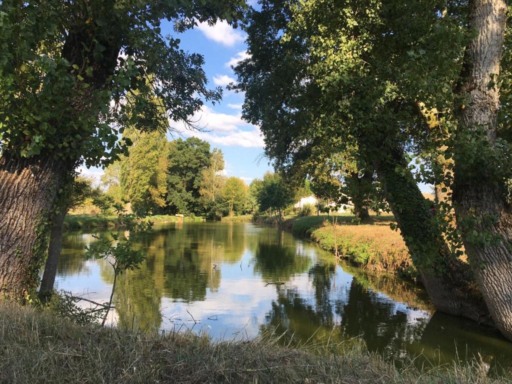 a river with trees and a view of a river with trees at Maison d hôtes Les Chantours dans réserve naturelle 15 hectares in Saint-Antoine-Cumond