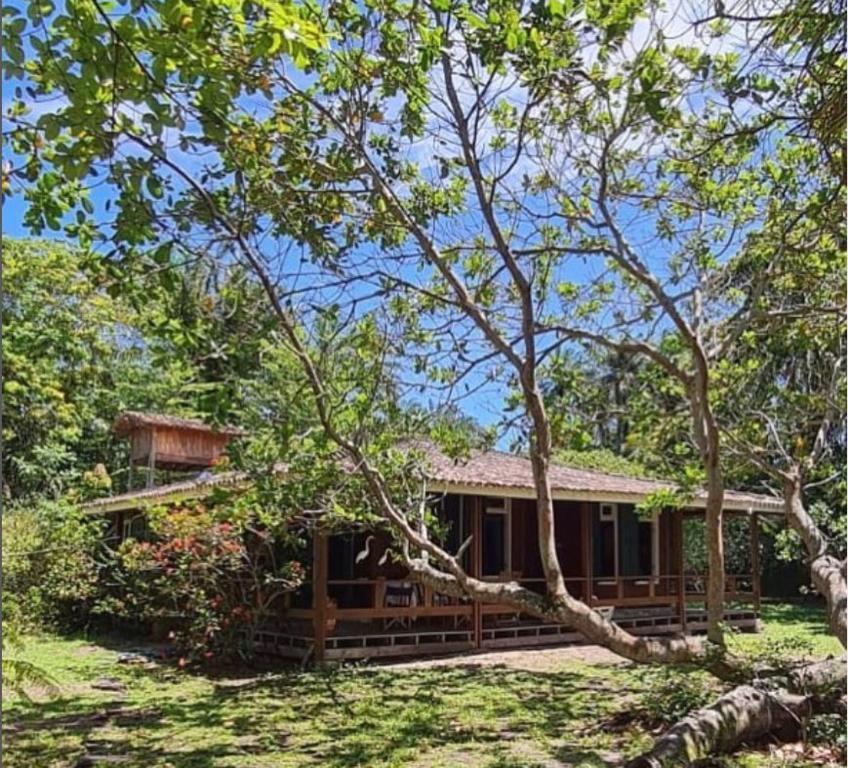 een huis midden in het bos bij Casa Tapirapé - Barra Grande/BA in Barra Grande