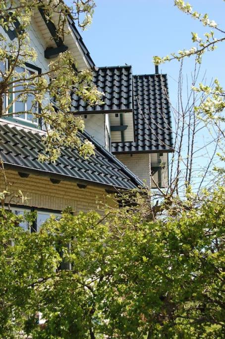 Fotografie z fotogalerie ubytování Schleiblick im Andersenhof v destinaci Kappeln
