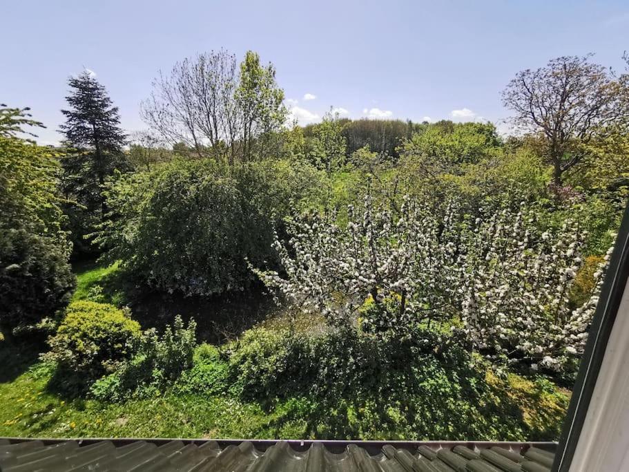 Blick auf einen Garten mit Bäumen und Sträuchern in der Unterkunft Ostseeblick im Andersenhof in Kappeln