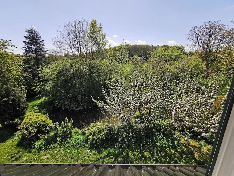 Zahrada ubytování Ostseeblick im Andersenhof