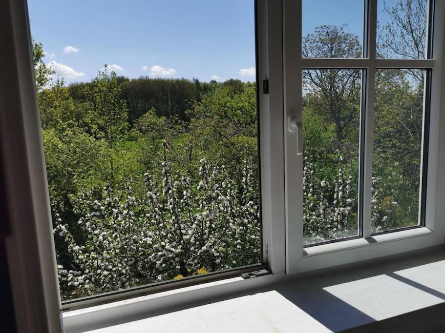 Zahrada ubytování Ostseeblick im Andersenhof